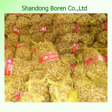 Chinese New Crop Ginger Exporting